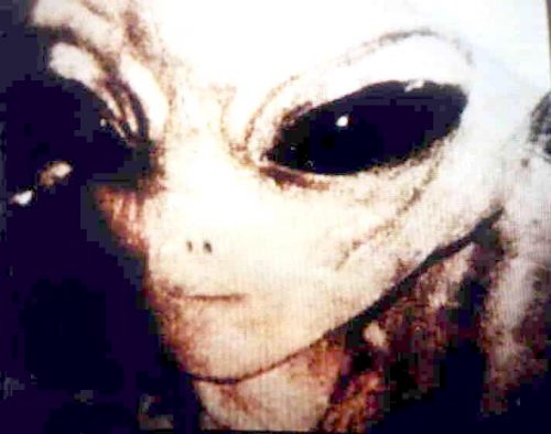 First Contact