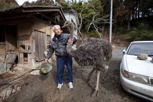 Naoto+Matsumura+in+his+house